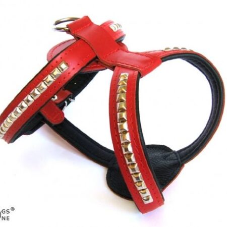 De Luxe Hunde Leder-NIETEN-Geschirr Gr.3 verstellbar 52-60 cm