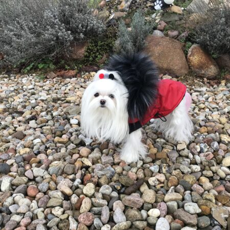 Dicke Winterjacke mit Fell RED