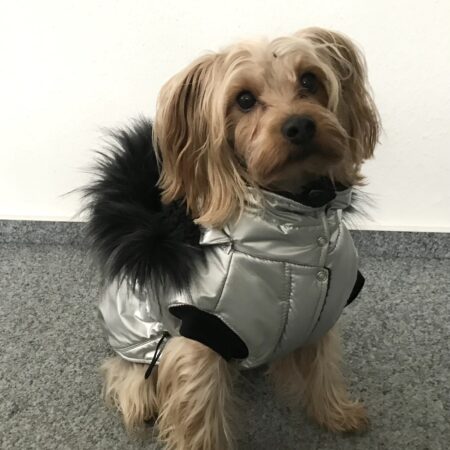 Dicke Winterjacke mit Fell SILVER