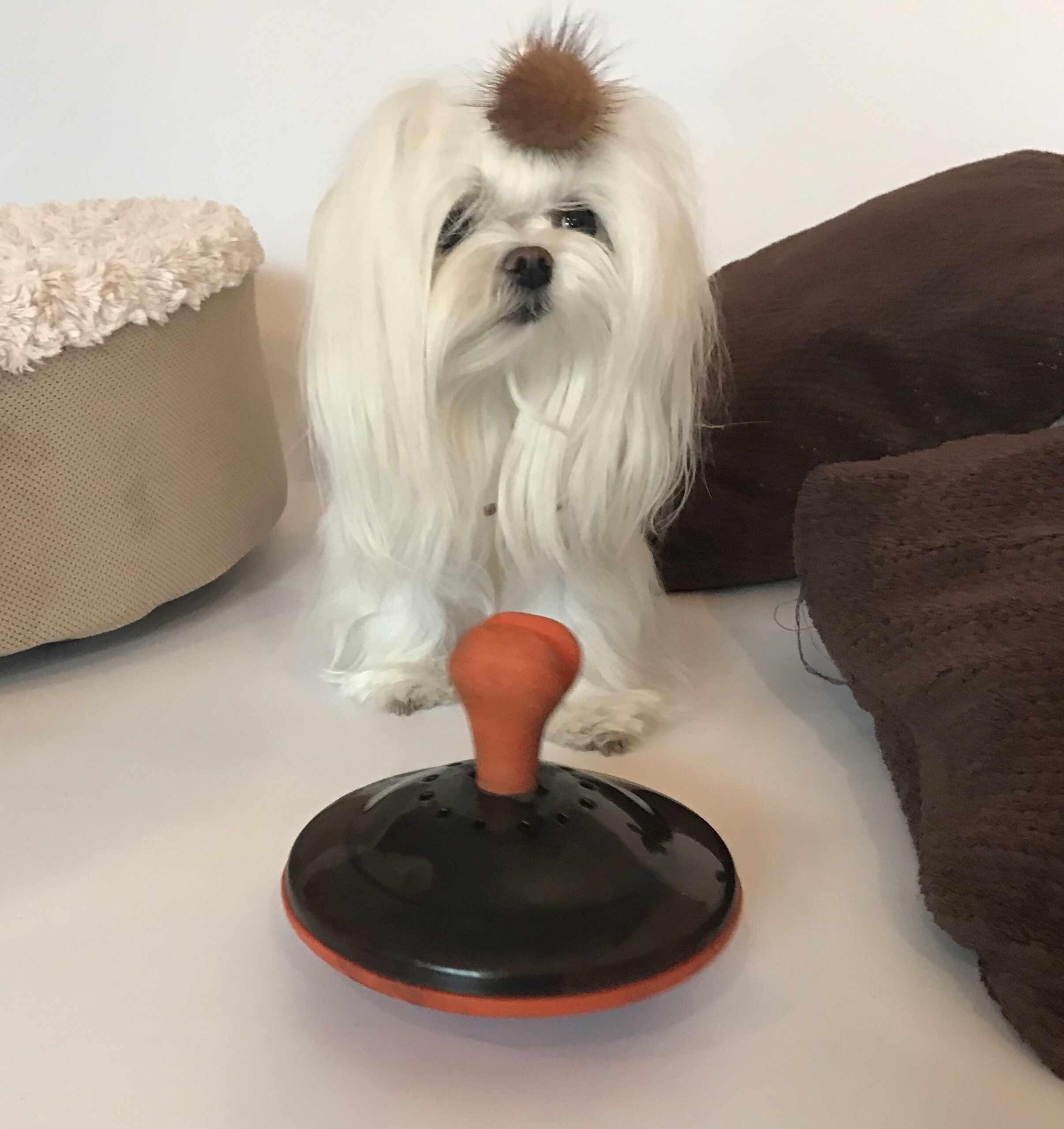 Dog Activity Snack-Kreisel, Naturgummi/Plastik Level 3