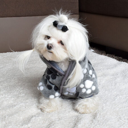 Doppelseitiger Bademantel für Hunde GREY PAW EINZELSTÜCK XL