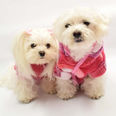 Doppelseitiger Bademantel für Hunde LEONIE Restposten