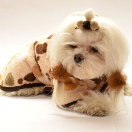 Doppelseitiger Bademantel für Hunde PAW BEIGE