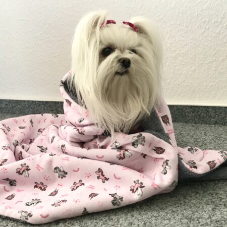 Doppelseitiges Badetuch für Hund PFERDCHEN