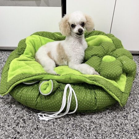 FLOWER Hundebett Limited Edition LIGHT GREEN