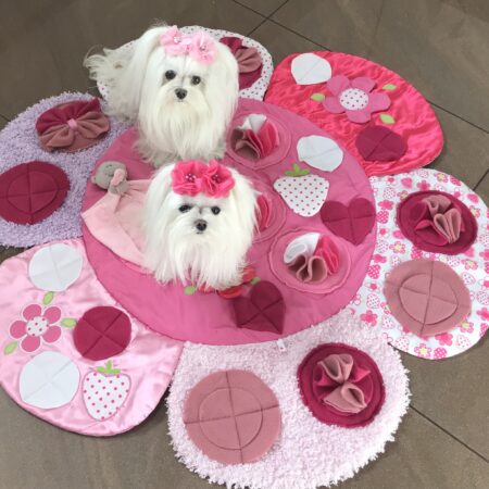 FLOWERS Schnüffelteppich Spielteppich für Hunde,Katzen,Welpen