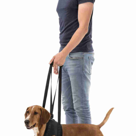 Gehhilfe für Hunde