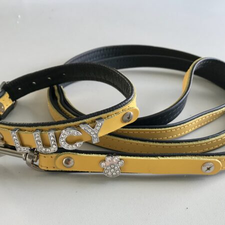 Halsband + Leine Lederset  inkl.Hundename + Schmuck YELLOW