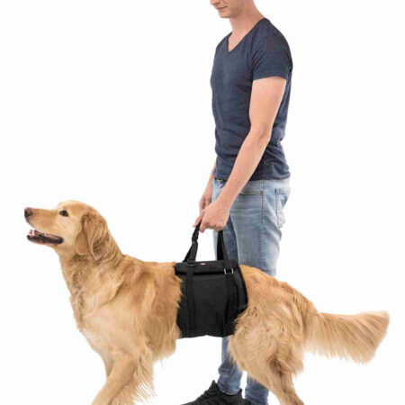 Hebehilfe für Hunde