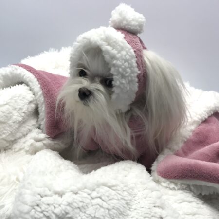 Hunde Bommelmütze ALTROSA-WEISS