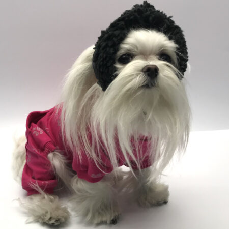 Hunde Bommelmütze BLACK