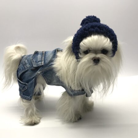 Hunde Bommelmütze BLUE