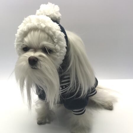 Hunde Bommelmütze DUNKLEBLAU-WEISS