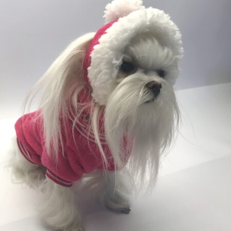 Hunde Bommelmütze PINK-WEISS