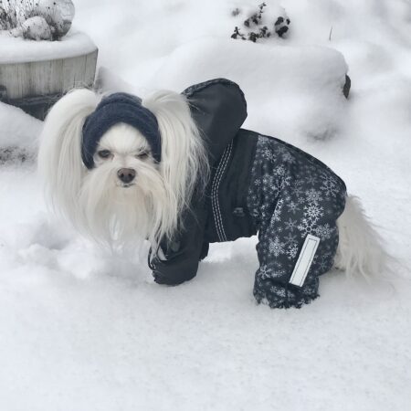 Hunde Cappy Wintermütze NESNA DARK BLUE