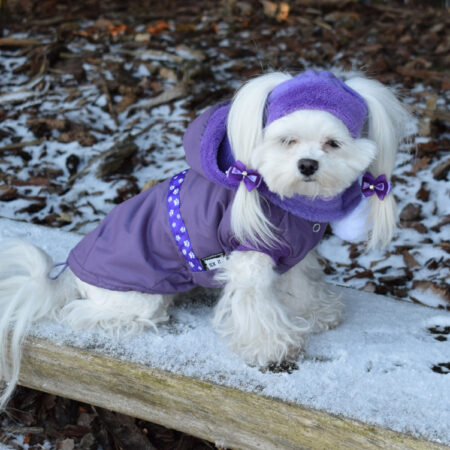 Hunde Cappy Wintermütze NESNA PURPLE