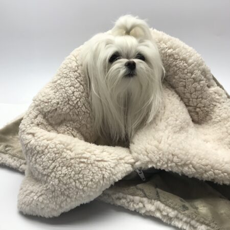 Hunde-Decke Kuscheldecke BONE BRAUN