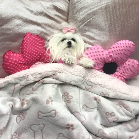 Hunde-Decke Kuscheldecke BONE ROSA