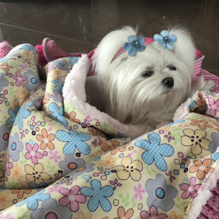 Hunde-Decke Kuscheldecke FLOWER