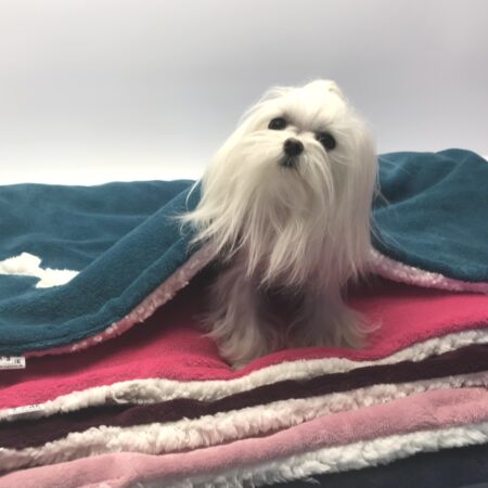 Hunde-Decke Kuscheldecke KNOCHEN