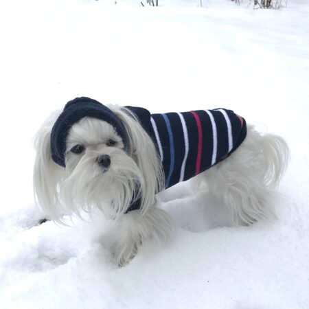 Hunde Pullover ANTON mit Kaputze