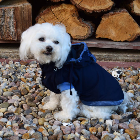 Hunde Herbst Winterjacke TYPHOON LIMITED EDITION