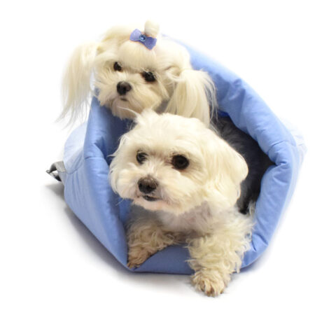 Hunde Schlafsack MEIN SCHATZ in blau EINZELSTÜCK