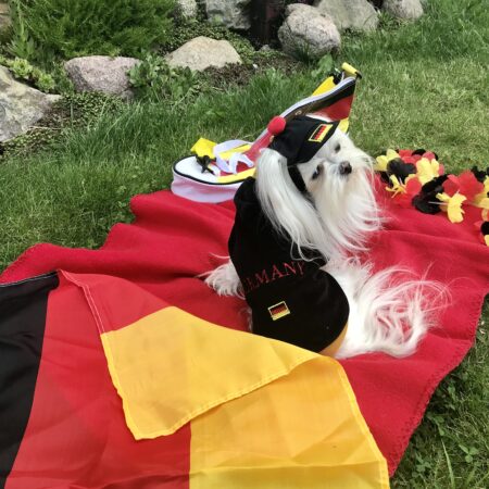 Hunde Sweatshirt GERMANY DEUTSCHLAND