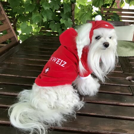 Hunde Sweatshirt SCHWEIZ