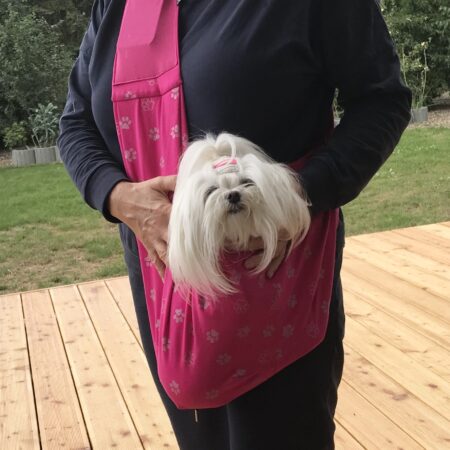 Hunde Tragetasche DOGSZONE  PINK PAW