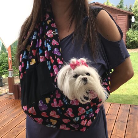 Hunde Tragetuch BUNTE HERZEN