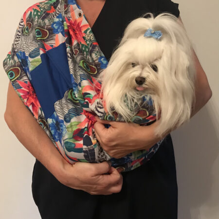 Hunde Tragetuch BUNT