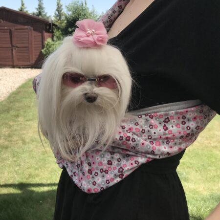 Hunde Tragetuch Blümchen rosa/Grau