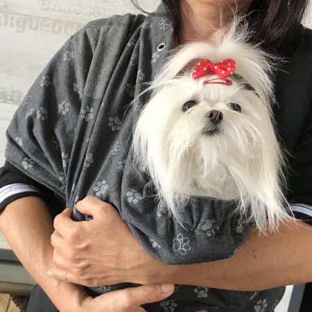 Hunde Tragetuch GREY PAW