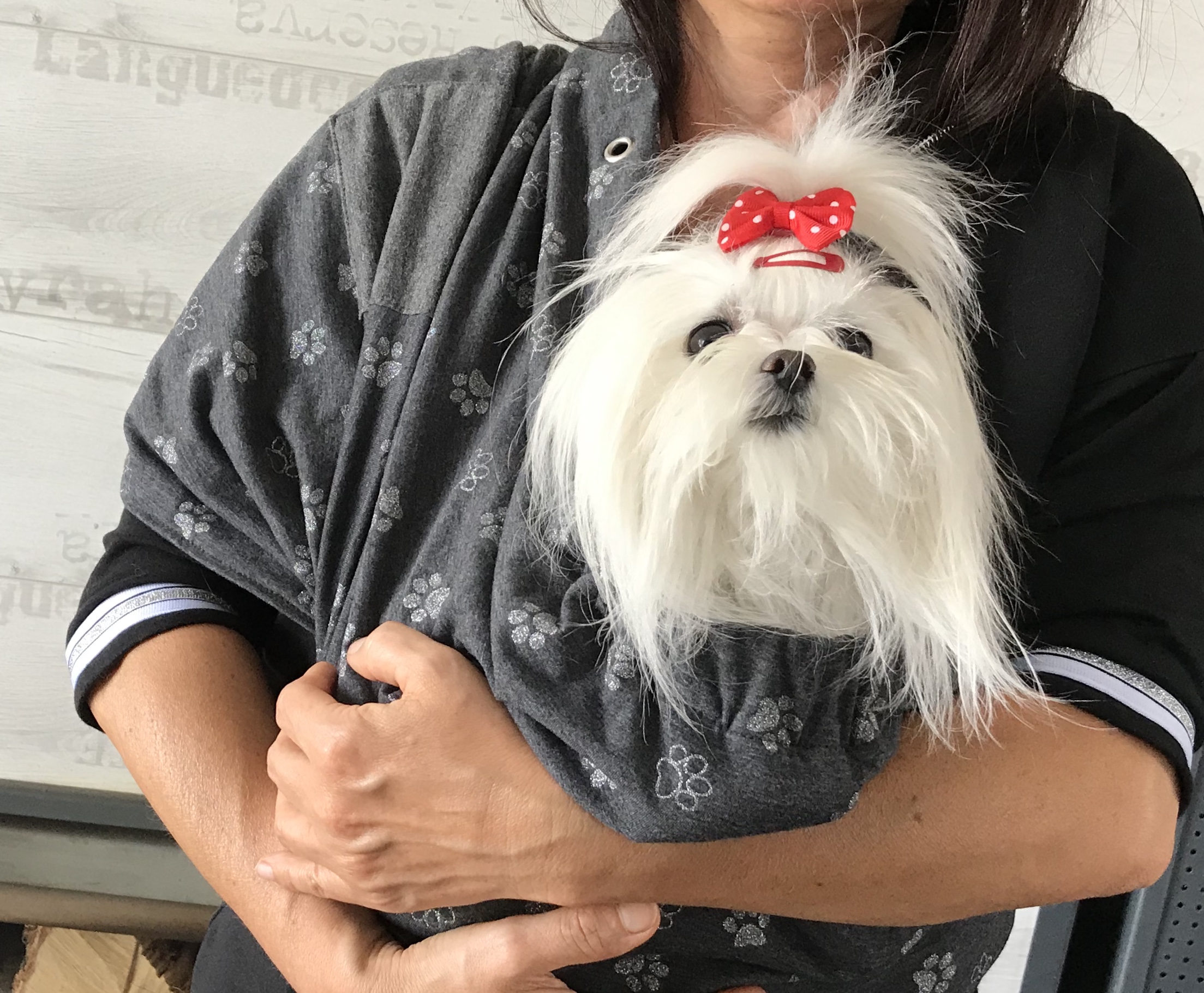 Hunde Tragetuch GREY PAW