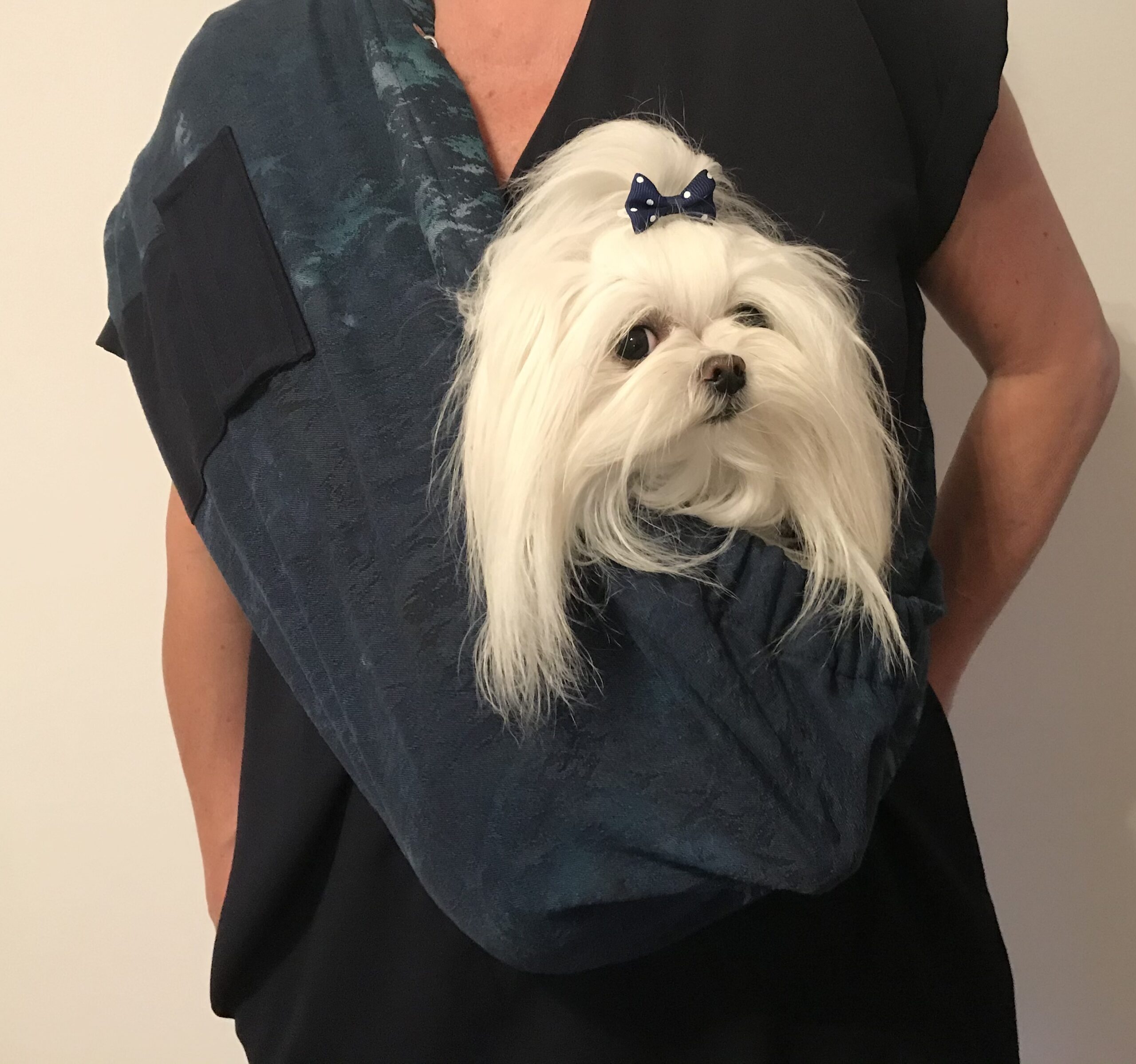 Hunde Tragetuch JEANS LOOK