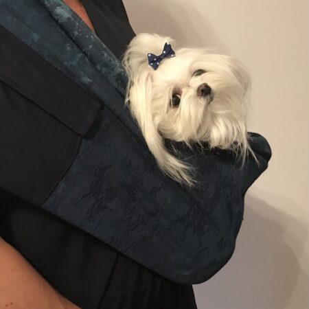 Hunde Tragetuch JEANS LOOK