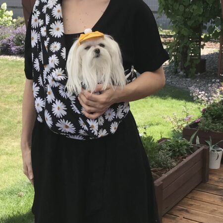 Hunde Tragetuch Margeriten /schwarz