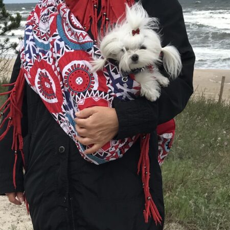 Hunde Tragetuch RED