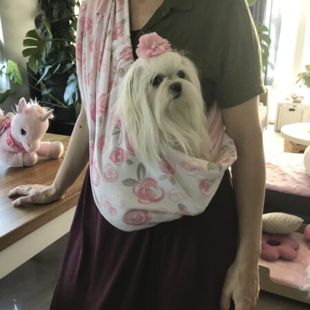Hunde Tragetuch Rosen Rosa/weiß