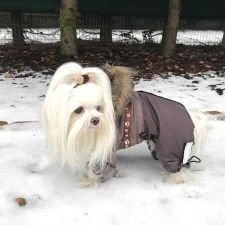 YUKON Hunde Winteranzug mit Geschirr für Hunde