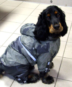 EINZELSTÜCK Gr.2 Hunde Winteranzug und Jacke 2 in 1 * SNOW CRAWLER *