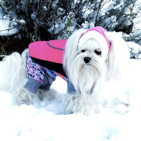 Hundemantel Hundejacke MERRY