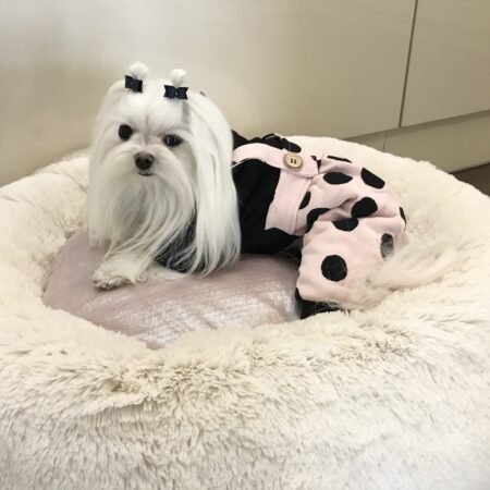 Hundeanug Winteranzug DICK BLACK DOTS