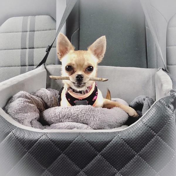 Hundeautositz Autokörbchen DE LUXE BLACK Elegance Gr.3