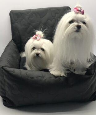 Hundeautositz /Reisebett FIRST CLASS BLACK HEART