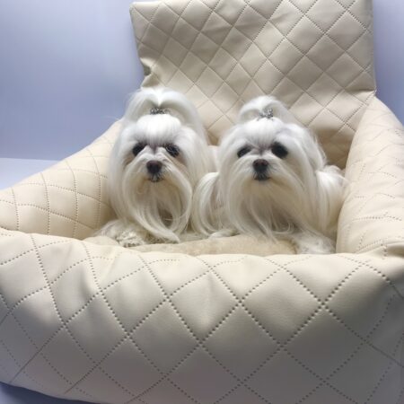 Hundeautositz /Reisebett FIRST CLASS CREME