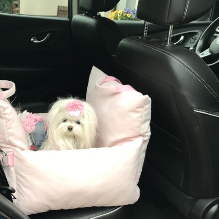 Hundeautositz /Reisebett /Tasche DOGSZONE ROSA
