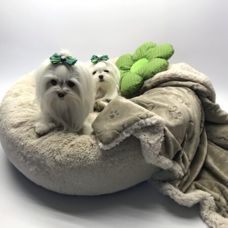 Hundebett DOGSZONE DONUT BEIGE kuschelig