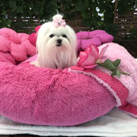 Hundebett DOGSZONE DONUT PINK  kuschelig